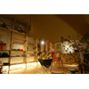tshop 01